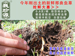 rxĲ շb 0.6/r60Ԫ/